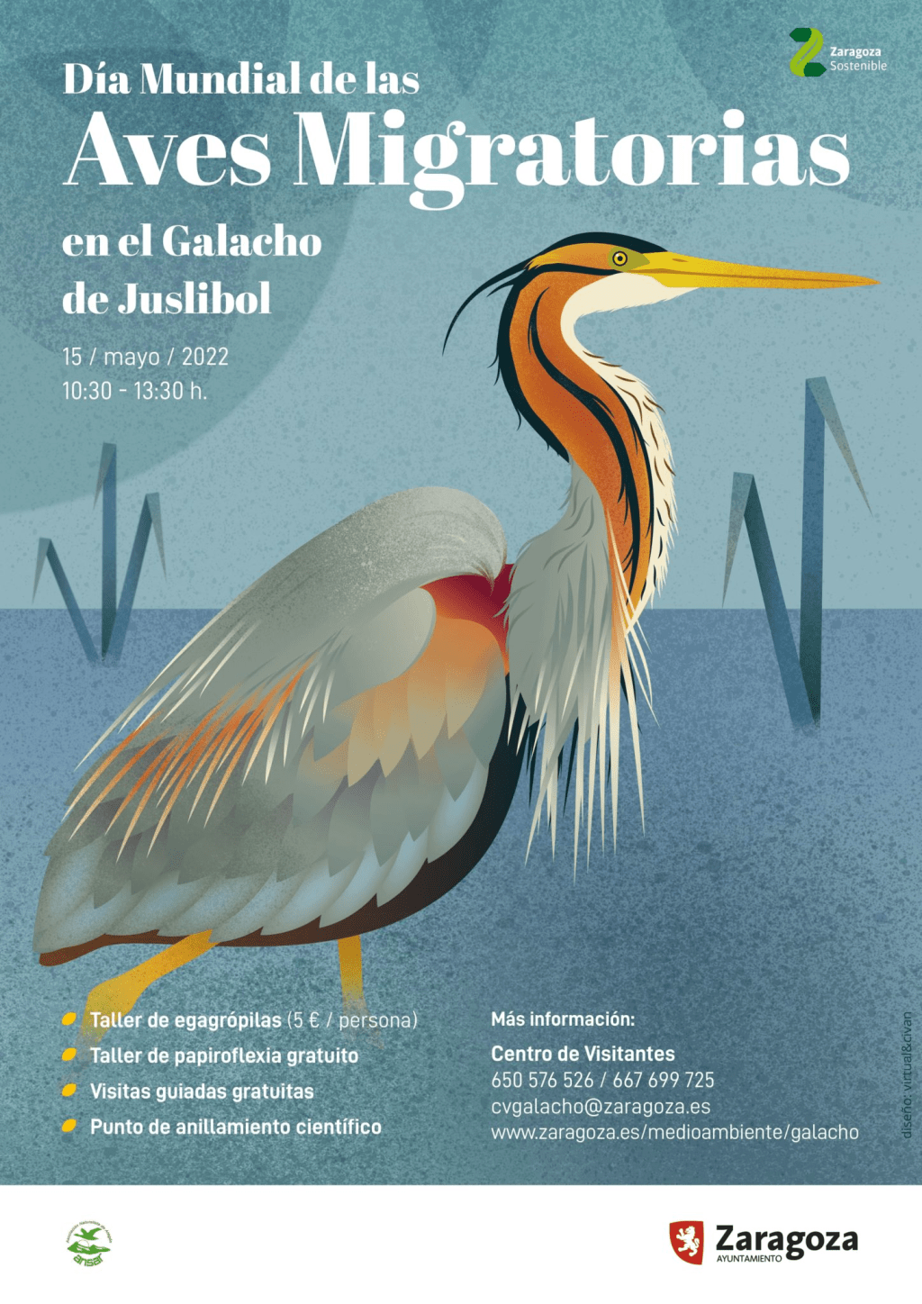 El 15 de Mayo se celebra el día mundial de las aves migratorias: en los Galachos de&nbsp;Juslibol