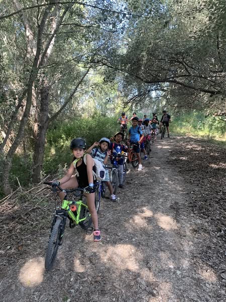 Excursión de primer&nbsp;ciclo